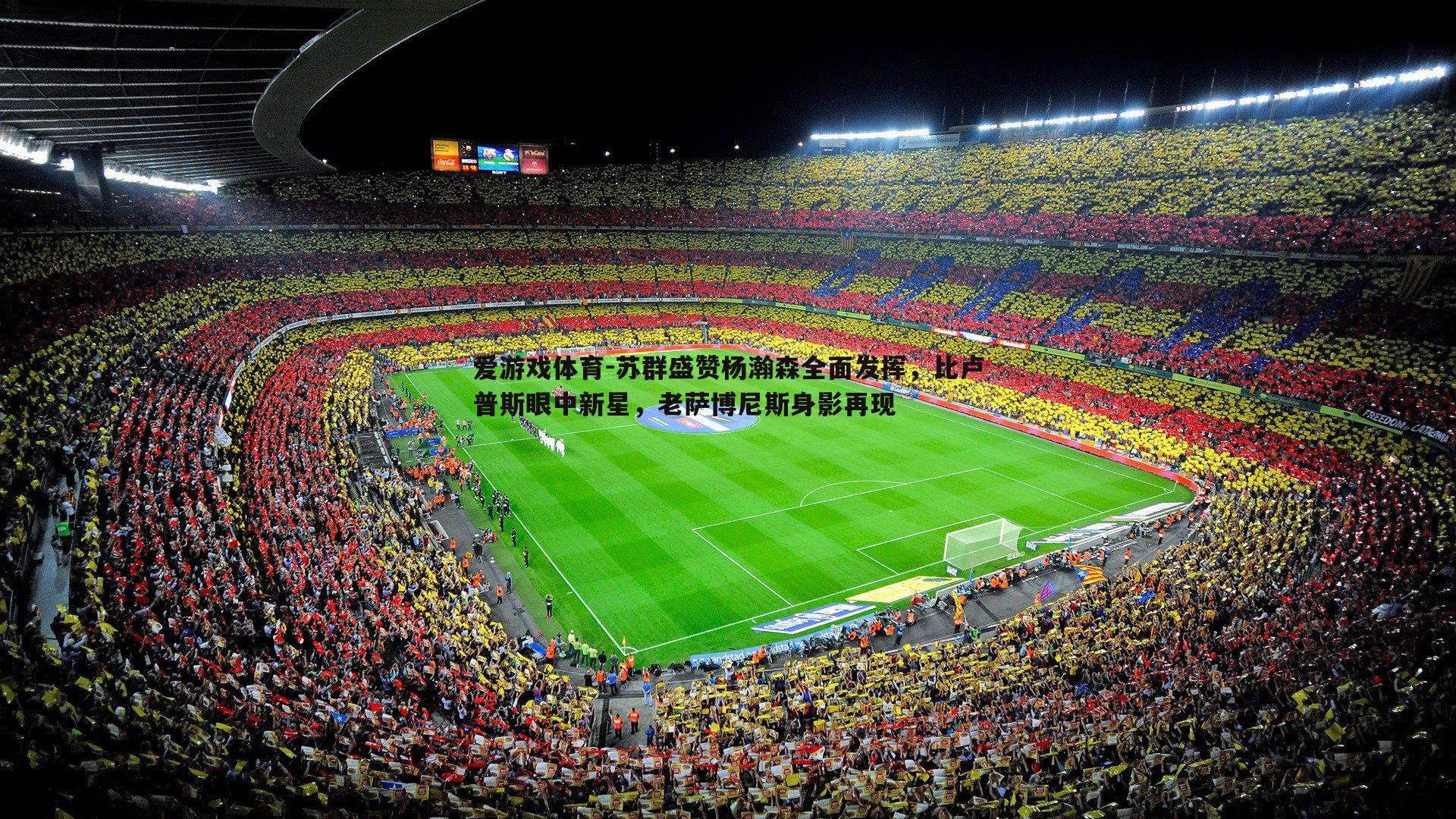 爱游戏体育-苏群盛赞杨瀚森全面发挥，比卢普斯眼中新星，老萨博尼斯身影再现