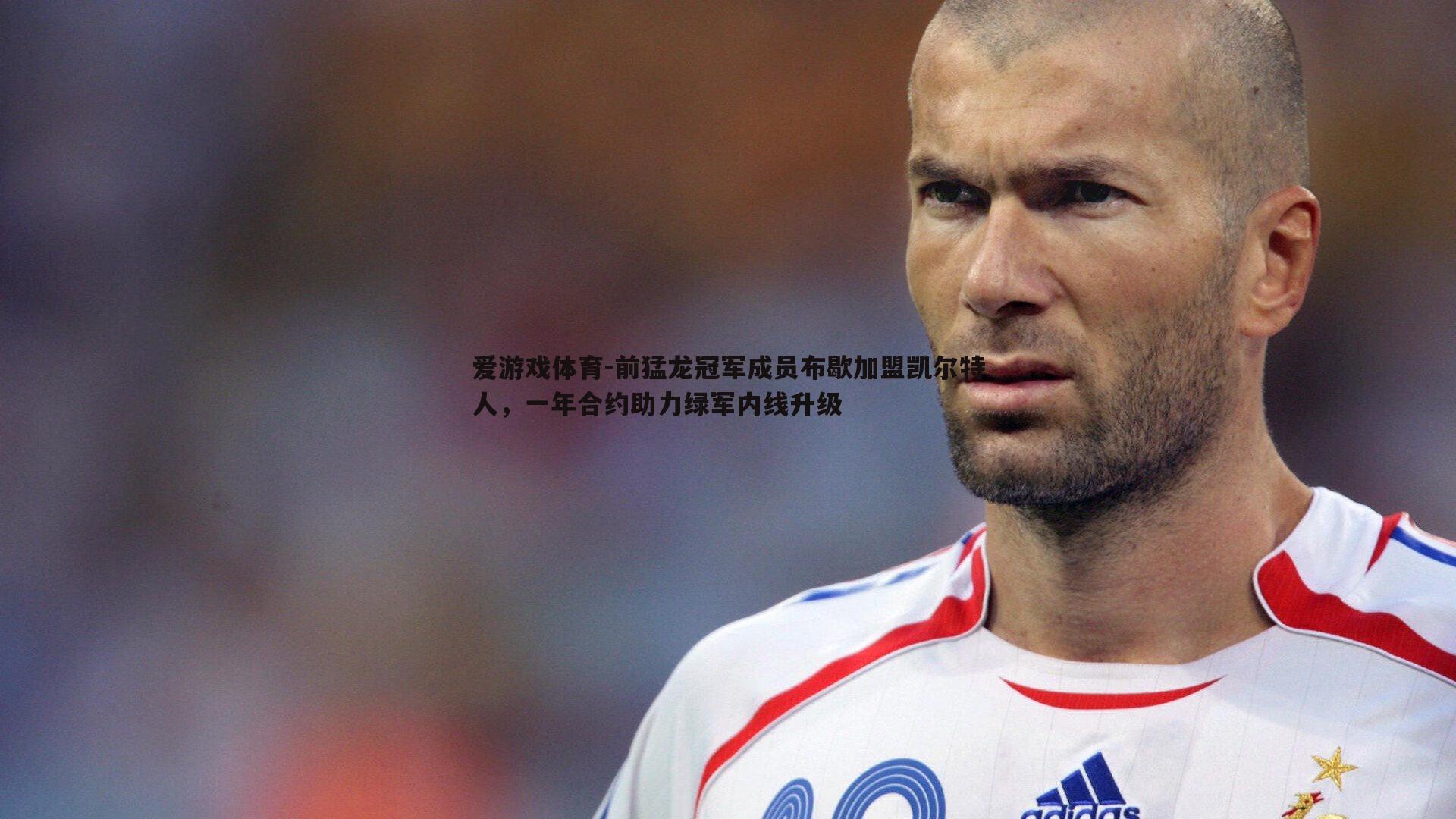 前猛龙冠军成员布歇加盟凯尔特人，一年合约助力绿军内线升级